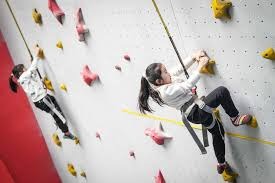 图片报：多特蒙德与朗尼克已经在探索合作的可能